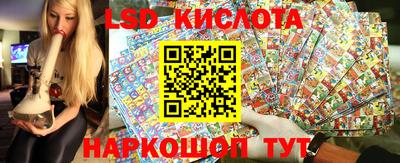 прущие грибы Коммунар