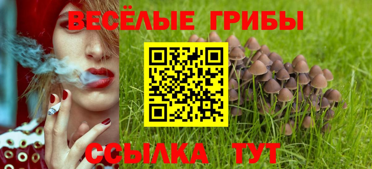 Галлюциногенные грибы MAGIC MUSHROOMS Корсаков